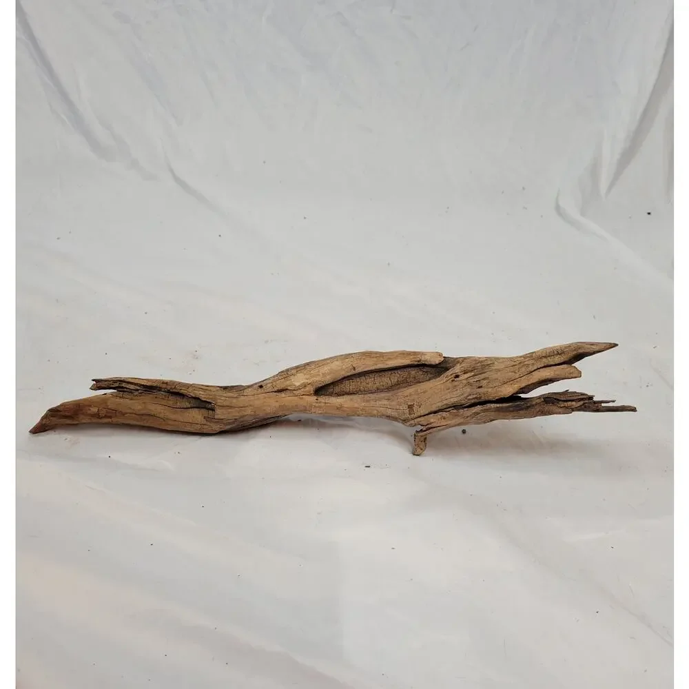 Ohio River Driftwood 22